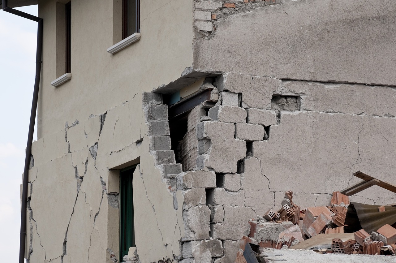 Aid Organizations Working in Disaster Preparedness and Response